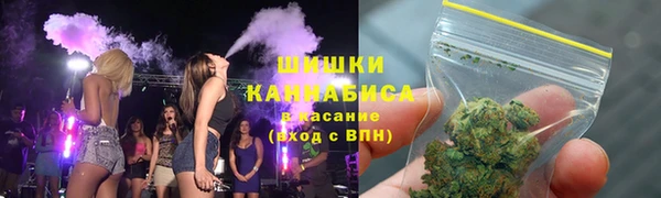 ГАЛЛЮЦИНОГЕННЫЕ ГРИБЫ Верея
