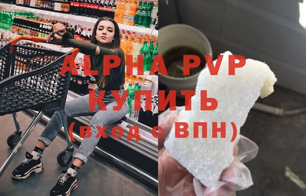 ГАЛЛЮЦИНОГЕННЫЕ ГРИБЫ Верея