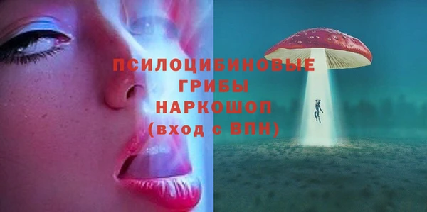 ГАЛЛЮЦИНОГЕННЫЕ ГРИБЫ Верея