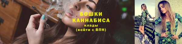 ГАЛЛЮЦИНОГЕННЫЕ ГРИБЫ Верея