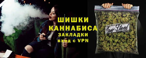 ГАЛЛЮЦИНОГЕННЫЕ ГРИБЫ Верея