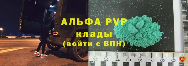 ГАЛЛЮЦИНОГЕННЫЕ ГРИБЫ Верея