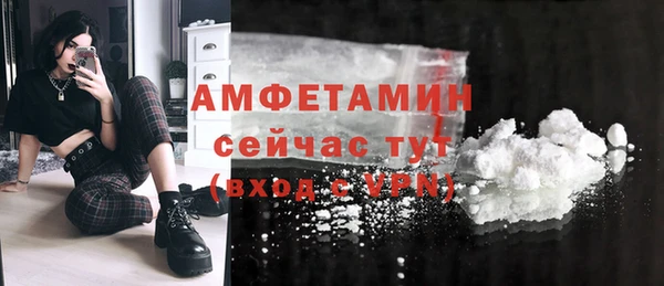 ГАЛЛЮЦИНОГЕННЫЕ ГРИБЫ Верея