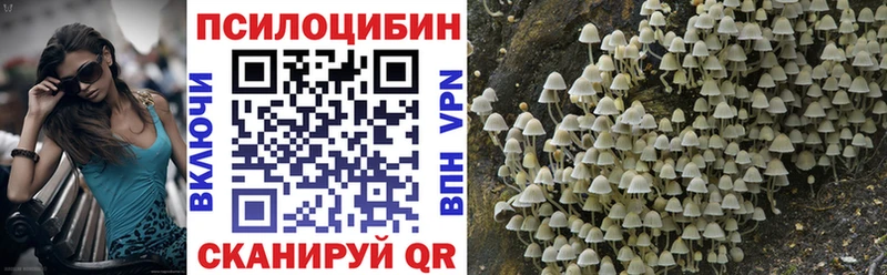 Псилоцибиновые грибы GOLDEN TEACHER Туапсе